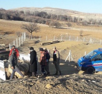 Elazığ'da Koyun Çalan Hırsızlar Yakalandı