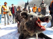 YABAN DOMUZU - Erzincan'da Sürek Avı Gerçekleştirildi