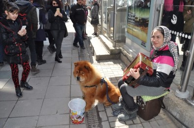 Romanyalı Kız Kardeşlerin Müziklerinden Çok Köpekleri Beks İlgi Görüyor