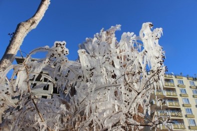 Kilis'te Ağaçlar Buz Tuttu