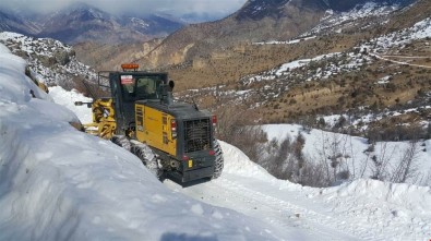 Artvin'de Karla Mücadele Çalışmaları Devam Ediyor