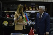 YUSUF ZIYA GÜNAYDıN - Azeri Milletvekili Paşayeva Açıklaması 'Türkiye Ne Kadar Güçlenirse Azerbaycan Da O Derece Güçlenir'