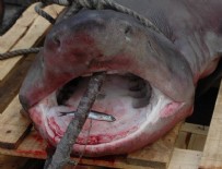 AKÇALAR - Gören telefonuna sarıldı!