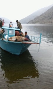 Dağ Keçisi Vuran Avcılara 28 Bin TL Para Cezası Kesildi