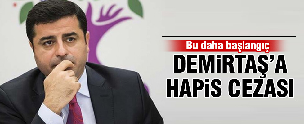 Demirtaş'a hapis cezası