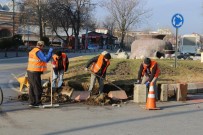 KÜPLÜ - Kırılan Bordürler Tamir Edildi