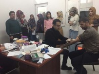 KEMİK İLİĞİ - Sincik İlçesi Muhammed İçin Seferber Oldu