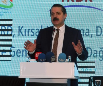 Bakan Çelik, Erzurum'dan Şap Aşılama Seferberliğini Başlattı