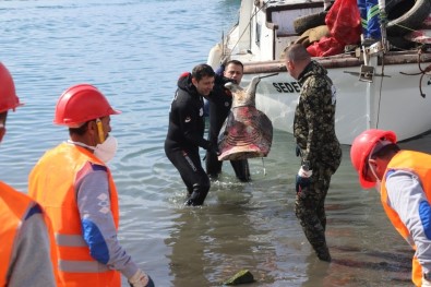 Bodrum'da Deniz Dibi Temizliği Gümbet'te Devam Etti