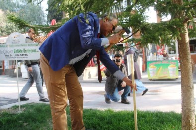 Hatay'da Ağaçlara Kimlik