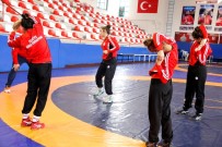 KOCABAŞ - Minderin Yıldız Sultanları 2017 Yılına Damga Vurmaya Hazırlanıyor