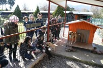 KIRIK TEDAVİSİ - Öğrenciler Sokak Hayvanlarını Yalnız Bırakmadı