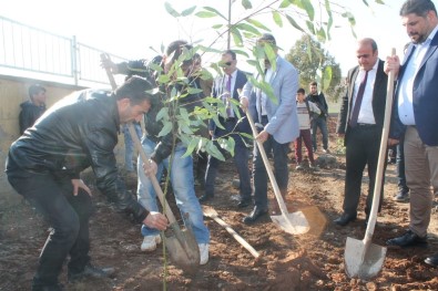 Silopi'de Köy Okulunda Ağaç Dikme Etkinliği