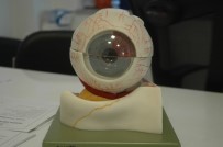 Urartu Göz'de 'Keratokonus' Tedavisi