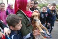 YAVRU KÖPEK - Okul Bahçesine Giren Yavru Köpek İlgi Odağı Oldu