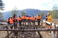 KASTAMONU ÜNIVERSITESI - Sertifikalı Ormanlar Denetlendi