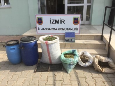 İzmir'de 13 Kilogram Esrar Ele Geçirildi