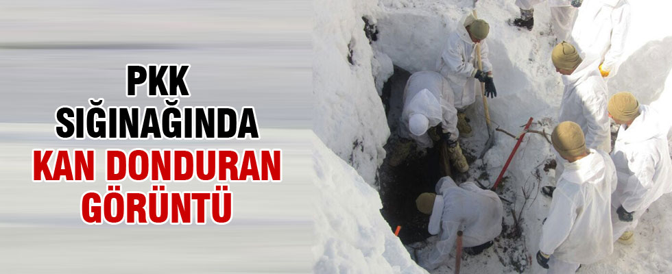 Bingöl'de terör operasyonu