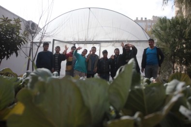 Dezavantajlı Özel Öğrenciler Okulu Sera Bahçesine Dönüştürdü