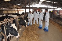 DÖNER SERMAYE - Hayvan Hastalıkları İle Mücadele Sezonu Başladı