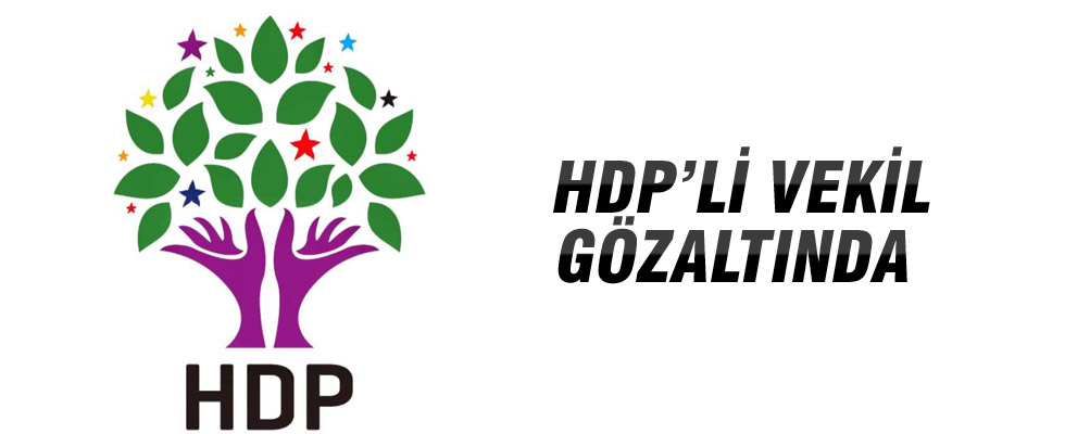 HDP'li İbrahim Ayhan gözaltına alındı