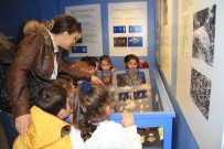 DENİZ CANLILARI - Kartal Belediyesi Kreş Öğrencileri Deniz Kabukları Müzesi'ni Gezdi