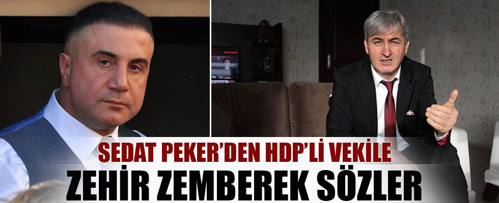 Sedat Peker'den HDP'li vekile çok sert cevap!