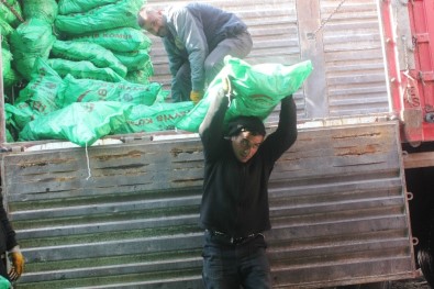 Ağrı'da Kömür Boşaltan İşçilerin Ekmek Mücadelesi