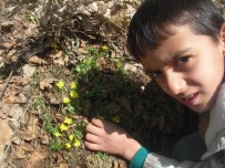 DOĞA FOTOĞRAFÇISI - Cemre Düştü, Kır Çiçekleri Açtı