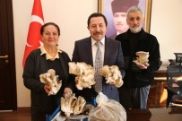 İSTIRIDYE - Çiftçi Çiftin Azmi