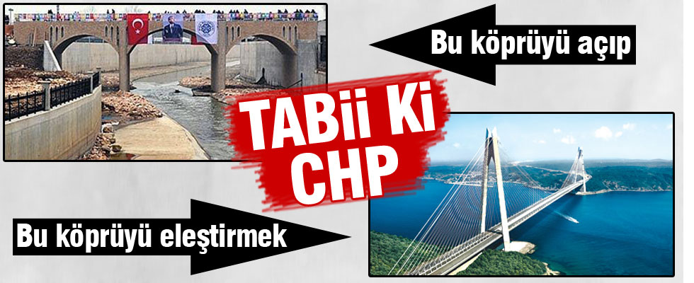 İnce'den köprü eleştirisi
