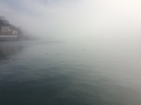 DENİZ ULAŞIMI - Zonguldak'ta Yoğun Sis Etkisini Sürdürüyor