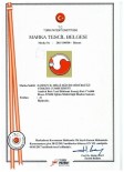 TÜRK PATENT ENSTİTÜSÜ - 'Adım Adım Başarı Projesi' Markalaştı