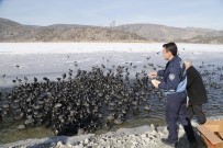 FATİH DURUAY - Gölbaşı Belediyesi Eymir'deki Kuşları Besledi