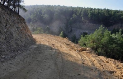 Kütahya'da Yeni Orman Yolları