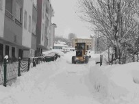 MEHMET NURİ ÇETİN - Varto'da Kar Temizleme Çalışması
