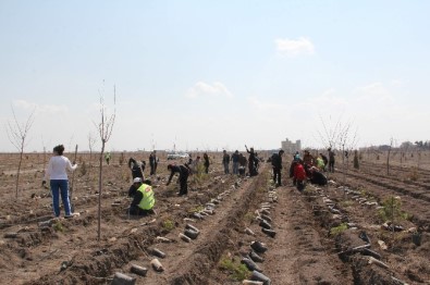 Yılın 'Sivil Toplum Farkındalık Ödülleri' Sahiplerini Buldu