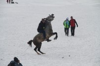 AT YARIŞLARI - Buz Tutan Çıldır Gölü'nde Altın At Şahlandı