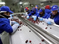 BEYAZ RUSYA - Ege Kiraz Ve Üzümde Avrupa Pazarını Güçlendiriyor