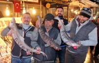 İLGİNÇ GÖRÜNTÜ - Mersinli Balıkçılardan İlginç Referandum Halk Yoklaması