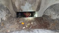 GEBZE BELEDİYESİ - Yer Altı Çöp Konteynerine Düşen Çocuğu İtfaiye Kurtardı