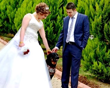 Düğününde Bile Yanından Ayırmadığı Köpeği Kayboldu