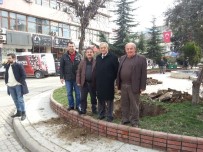 ŞEBEKE HATTI - Devrek Belediyesi Meydan Projesini Hayata Geçirme Çalışmalarına Başladı
