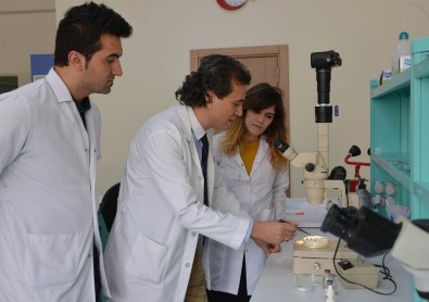 Selçuk Üniversitesi, Derin Yaraları İyileştirecek Sinek Larvası Üretecek