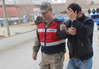 ÖRGÜT PROPAGANDASI - Elazığ'da PKK/KCK Operasyonu Açıklaması 12 Şüpheli Adliyeye Sevk Edildi