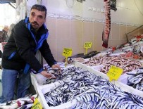 HAMSİ BALIK - Havalar ısındı, balık fiyatları düştü