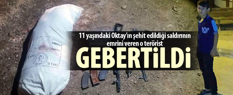 PKK'nın sözde 2 eyalet sorumlusu öldürüldü