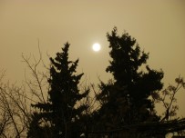 KUM FIRTINASI - Gaziantep'te Çamur Yağdı