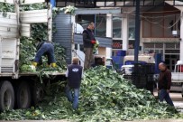 DOMATES FİYATI - Üretici Ve İhracatçının Gözü Kulağı Rusya'da