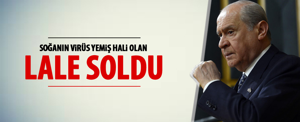 Bahçeli: Hollanda hasım ülke haline gelmiştir